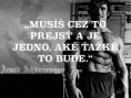 /album/fotogaleria-arnold-schwarzenegger/arnold-schwarzenegger-bodybuilding-wallpaper-bodybuilding-1299592466-jpg/